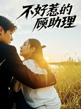 《不好惹的顾助理》：职场女王的爱情逆袭，谁说霸总无真爱？