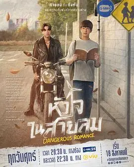 《危险之爱》：一场致命的吸引，揭开欲望与背叛交织的悬疑迷局