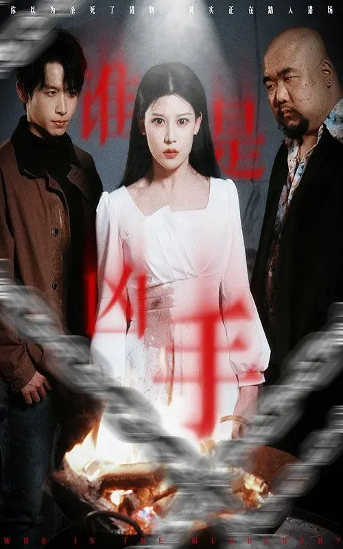 《谁是凶手》：迷雾重重的真相，挑战你的推理神经！悬疑、反转、人性拷问一网打尽